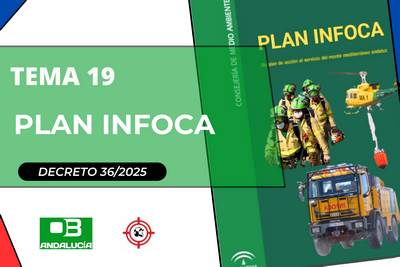 Tema 19 Específico - Andalucía